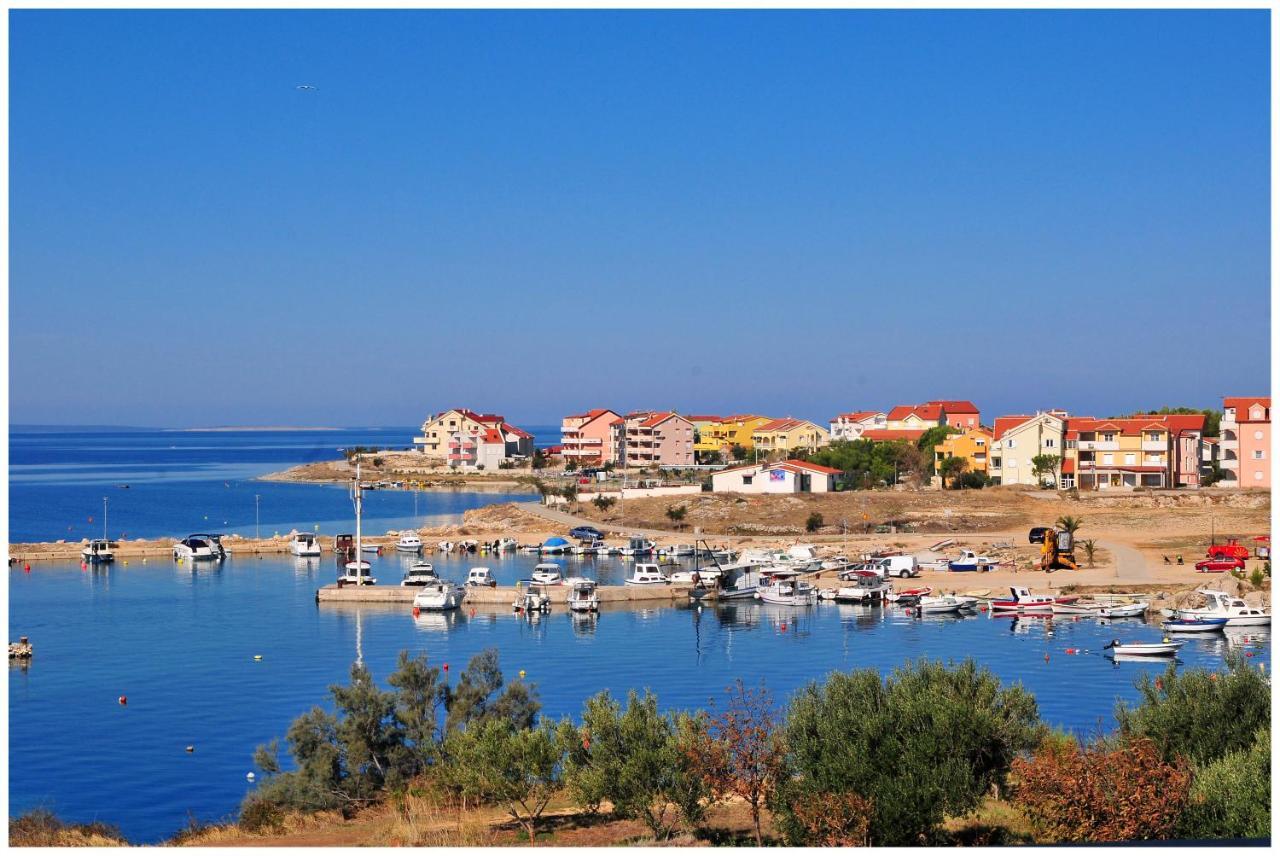 Villa Jurac Povljana Rum bild